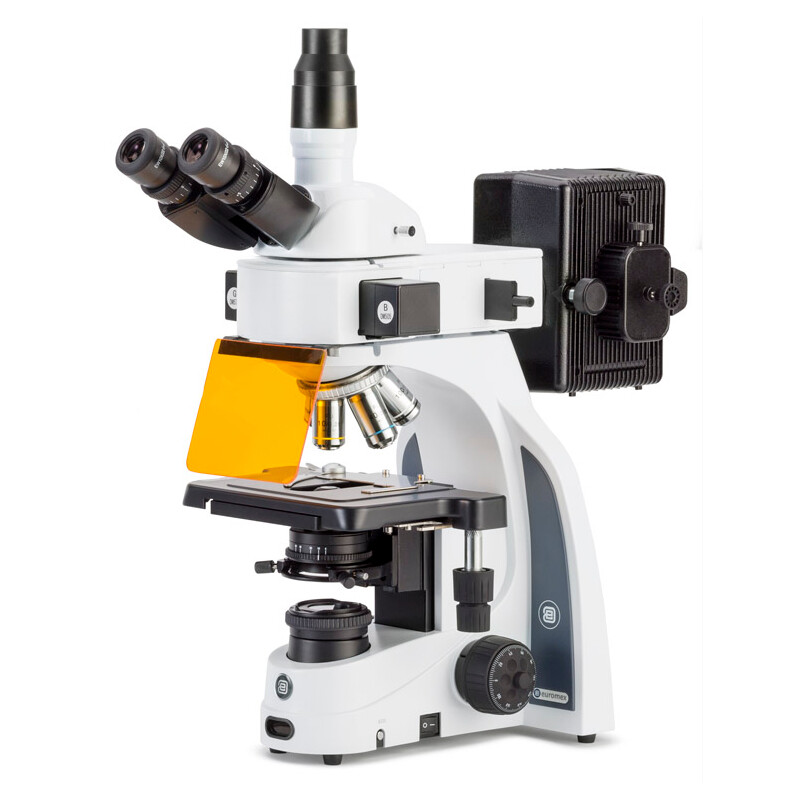 Euromex Microscope iScope, IS.3153-PLi/3, trino