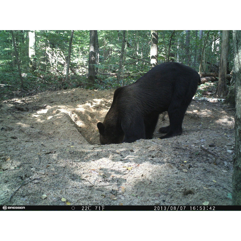 Bresser Wildcamera 12 MP MMS/E-MAIL