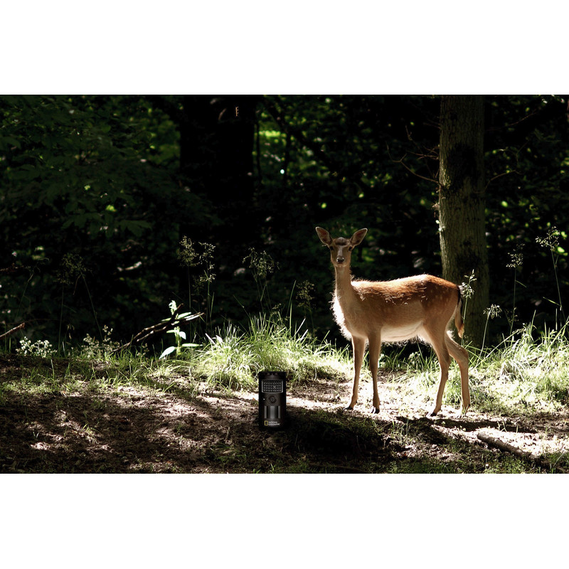 National Geographic Wild- en bewakingscamera