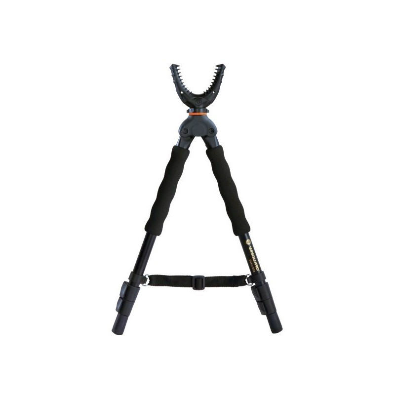 Vanguard Quest B38