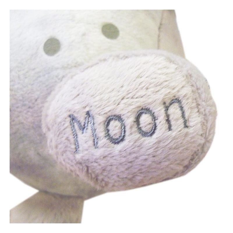 Celestial Buddies Moon