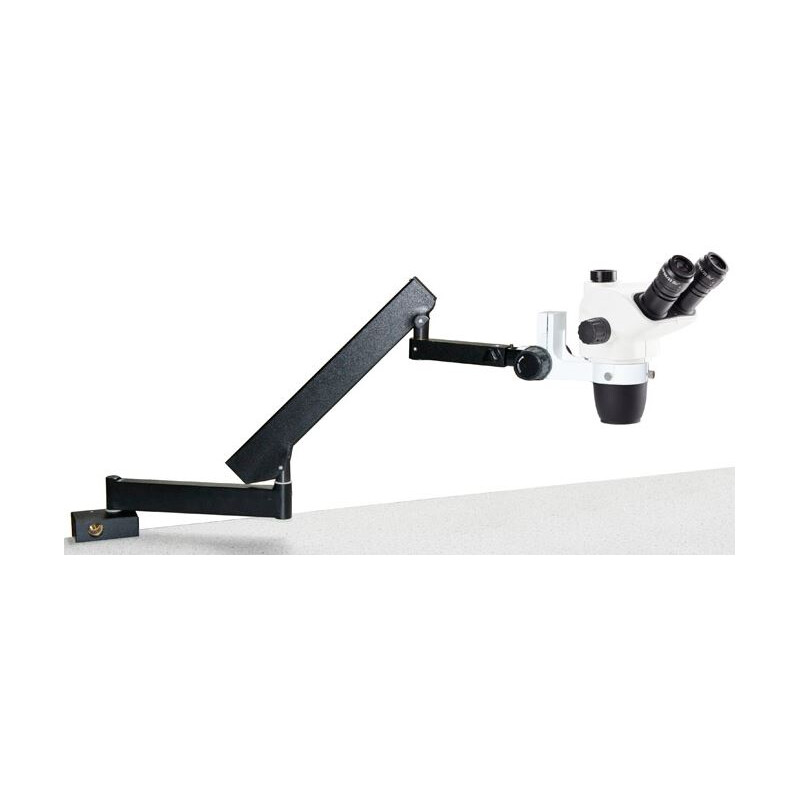 Euromex NZ.1703-AP, NexiusZoom EVO, 6,5x a 55x Brazo articulado con pinza de mesa, sin iluminación, trino
