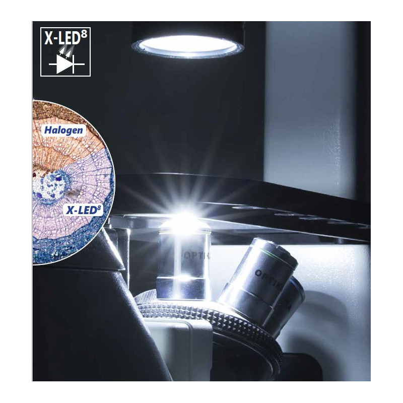 Optika Microscopio IM-3FL4-EUIV, trino, invertito, FL-HBO, Filtro B&G, IOS LWD U-PLAN F, 100x-400x, EU, IVD