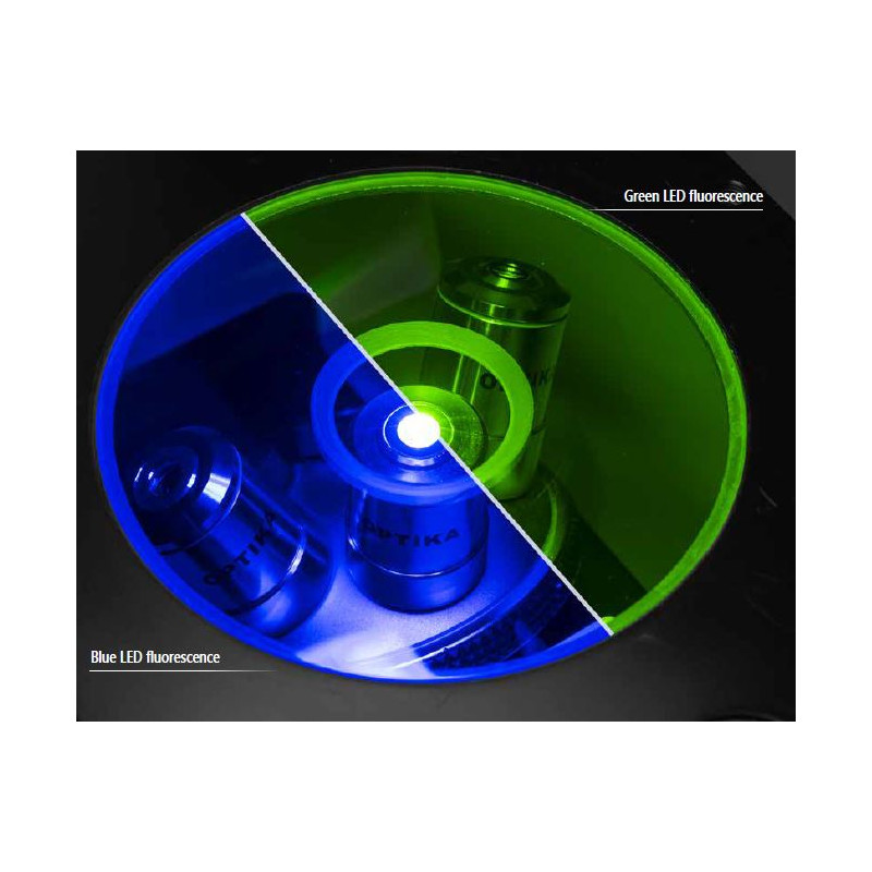 Optika Microscopio IM-3FL4-EUIV, trino, invertito, FL-HBO, Filtro B&G, IOS LWD U-PLAN F, 100x-400x, EU, IVD