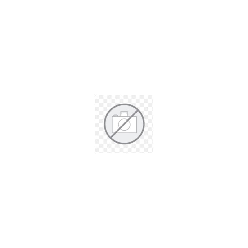 ZEISS Objetivo EC epipl., acro 100x/0,8, seco, w.d. = 1,0 mm