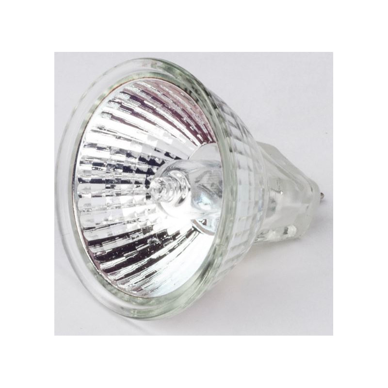 Motic Replacement 12V/10W halogen bulb for R2GG stand (reflected light) (for SMZ-161)