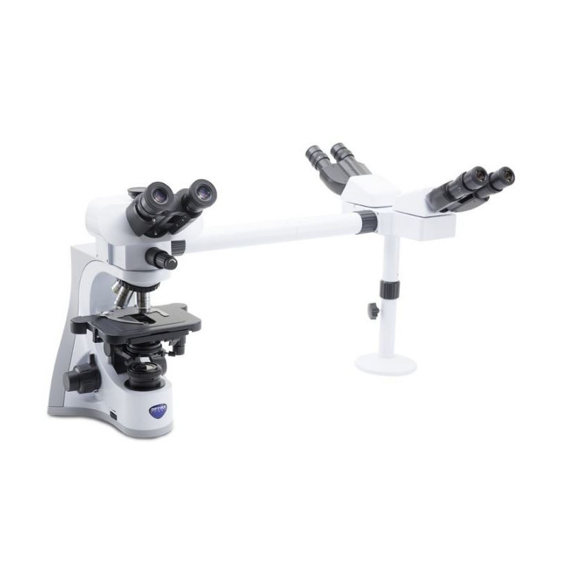 Optika Microscope B-510-3, discussion, trino, 3-head, IOS W-PLAN, 40x-1000x, EU