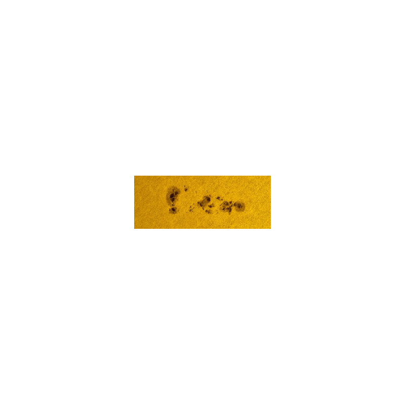 Thousand Oaks Filtros solares Filtro Solar Solarlite 8" SCT