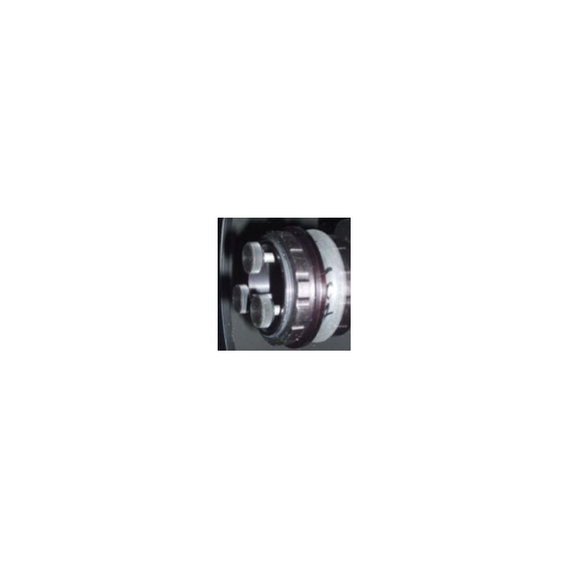Bobs Knobs Skywatcher Newton 190 secundair