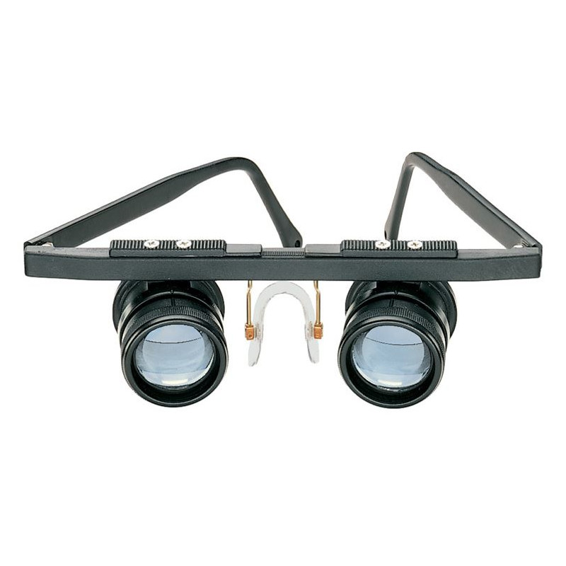 Binocular shop magnifier glasses