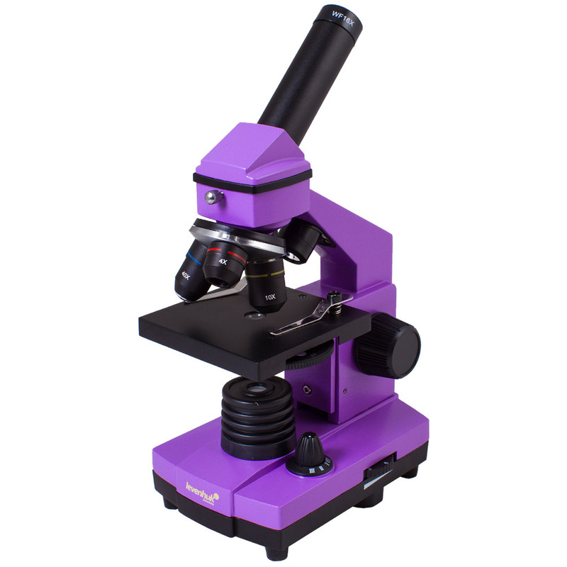 Levenhuk Microscope Rainbow 2L Plus Amethyst