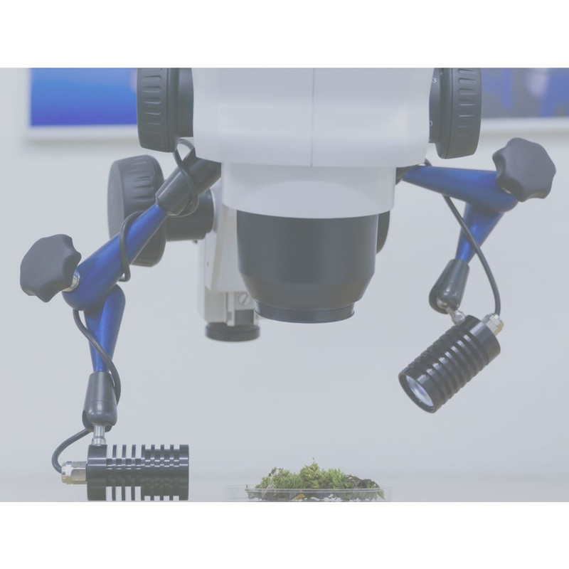 Pulch+Lorenz Belichting voor Statieven met Statief