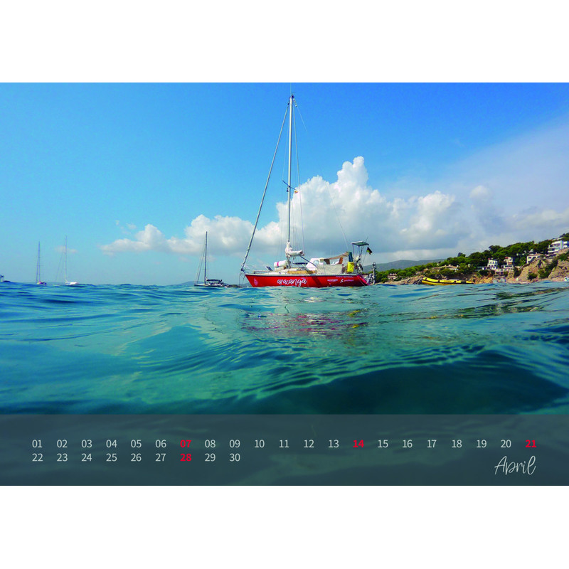 Calendar aracanga Kalender 2019