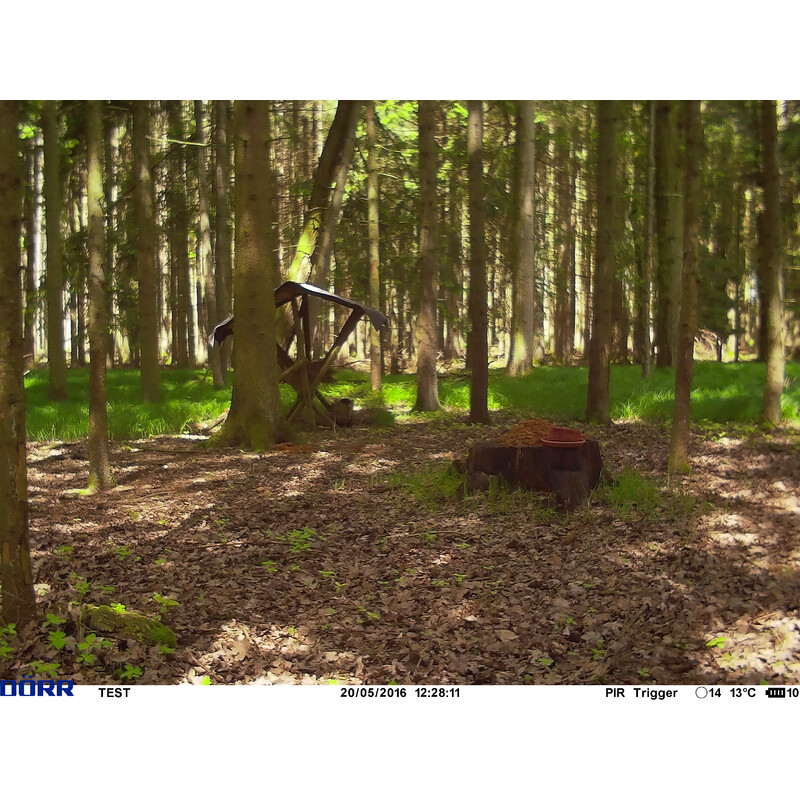 Dörr Rilevatore di selvaggina Snap Shot Multi Mobil 3G 16MP HD