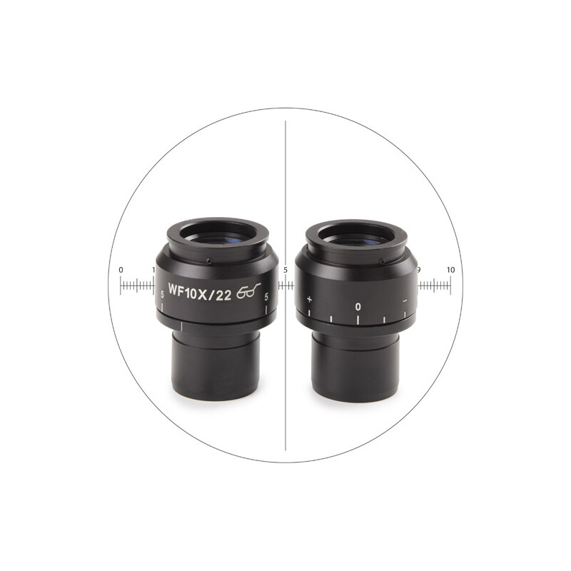 Euromex Ocular de medición NZ.6210-CM, 10x/22 mm SWF, micrómetro, retículo, (Nexius EVO)