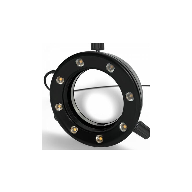 Evident Olympus Microscopio stereo zoom Olympus SZ61TR RL (trino) + RL66S-80 NW