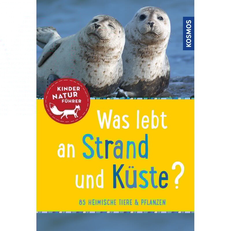 Omegon Microscopio stereoscopico Digistar, 600x, con LED e Kit naturalistico da spiaggia