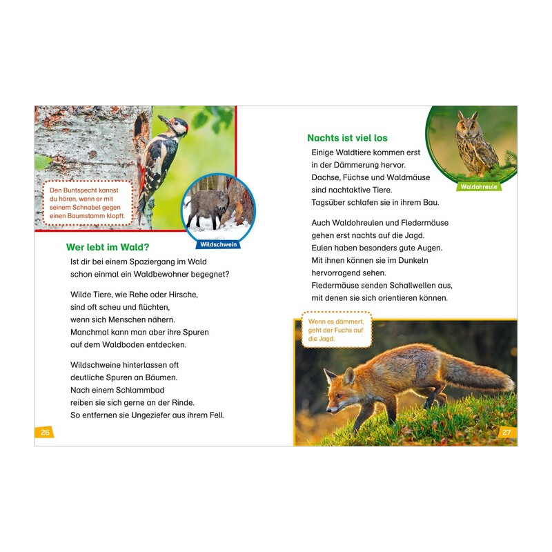 Tessloff-Verlag WAS IST WAS First Reading: Discovering Nature