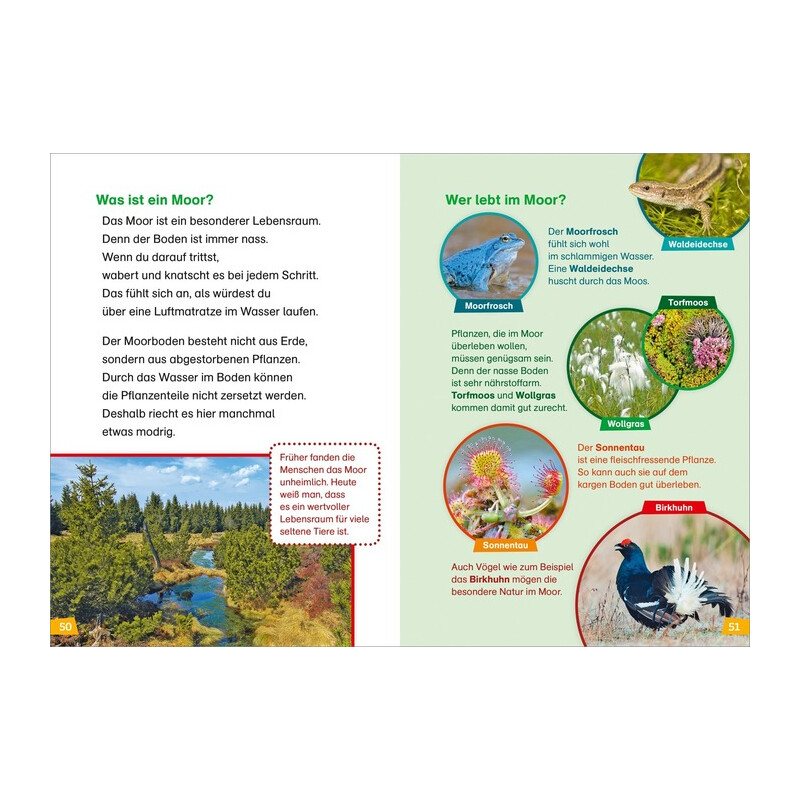 Tessloff-Verlag Primera lectura WAS IST WAS: Descubriendo la naturaleza