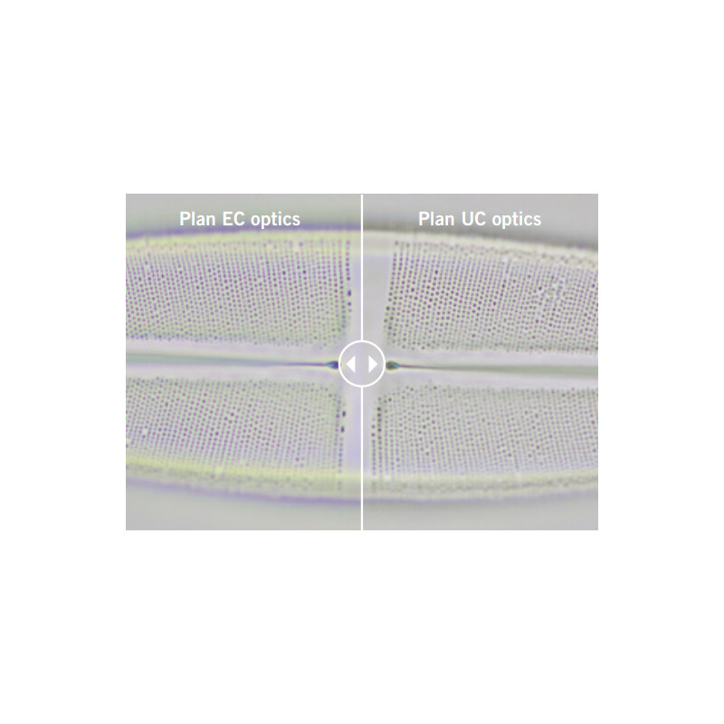 Motic Microscoop Panthera E2, trinoculair, HF, INFINITY, plan achro., 40x-1000x, vast Koehl.LED