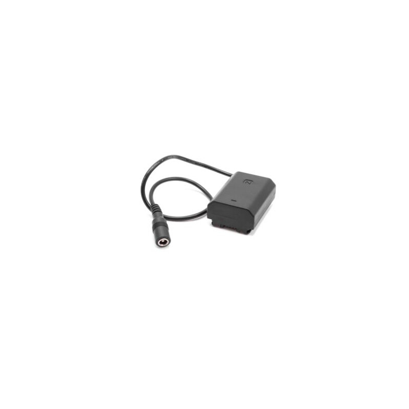 PegasusAstro Cavo DSLR Batteria Adapter NP-FZ100
