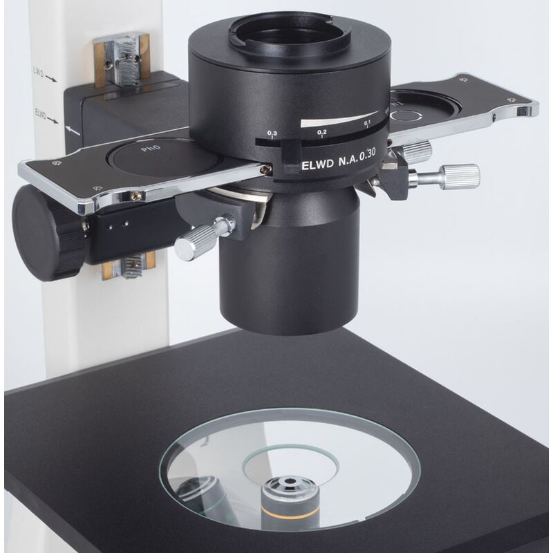 Motic Inverted microscope AE31E trino, infinity, CCIS Plan 4x LWD, Ph10x/20x40x, 100W Hal