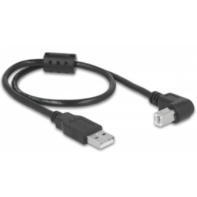 PegasusAstro USB kabelset 2x USB2.0 Type-B 50cm