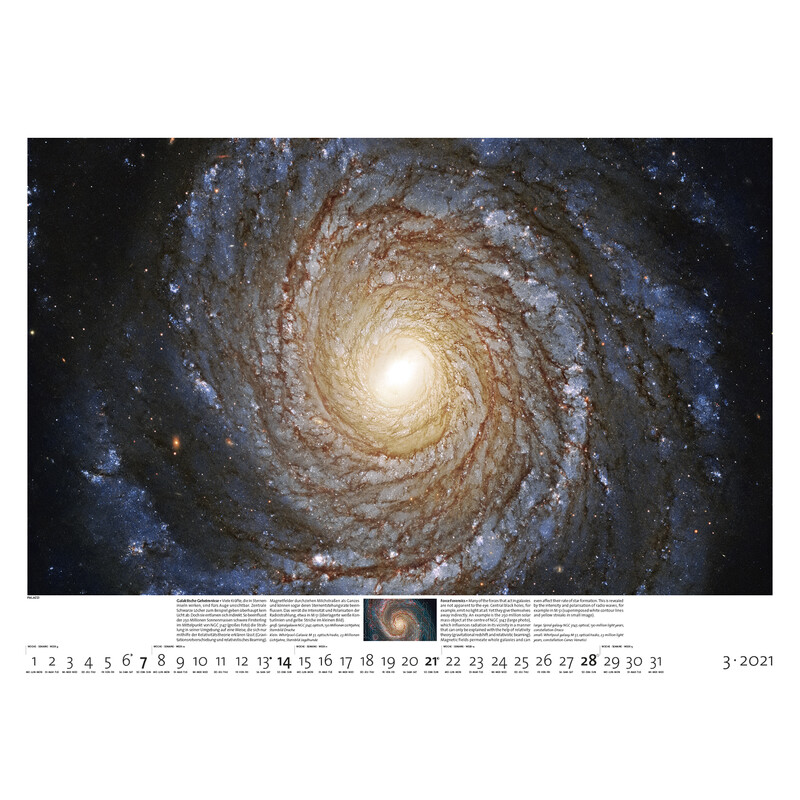 Palazzi Verlag Calendario Sternzeit 2021