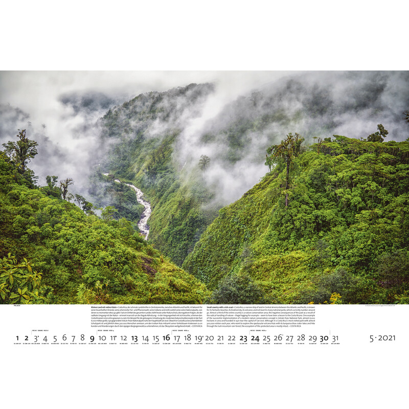 Palazzi Verlag Kalender Bossen der aarde 2021