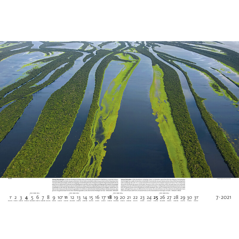 Palazzi Verlag Calendarios Bosques de la tierra 2021