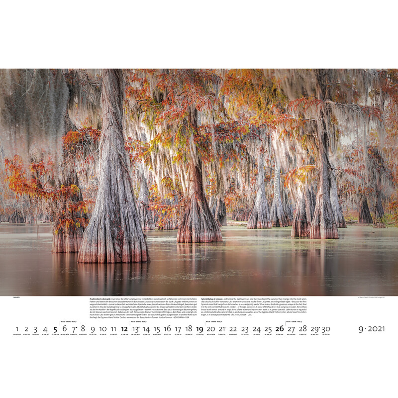 Palazzi Verlag Calendarios Bosques de la tierra 2021