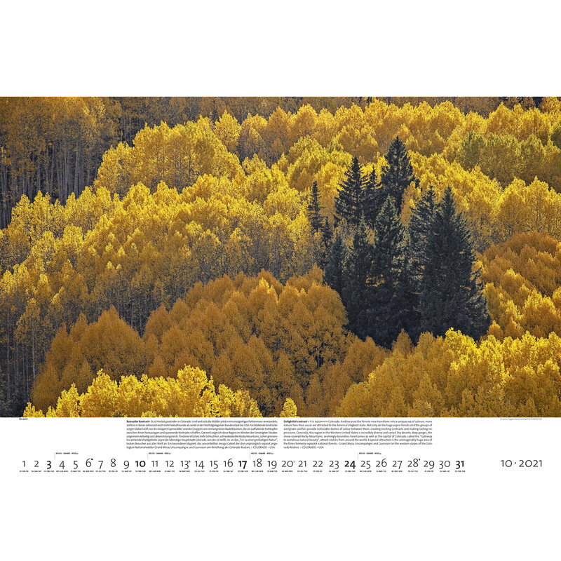 Palazzi Verlag Kalender Bossen der aarde 2021