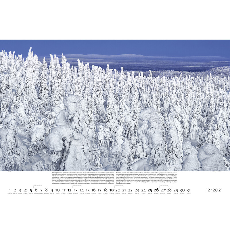 Palazzi Verlag Kalender Bossen der aarde 2021