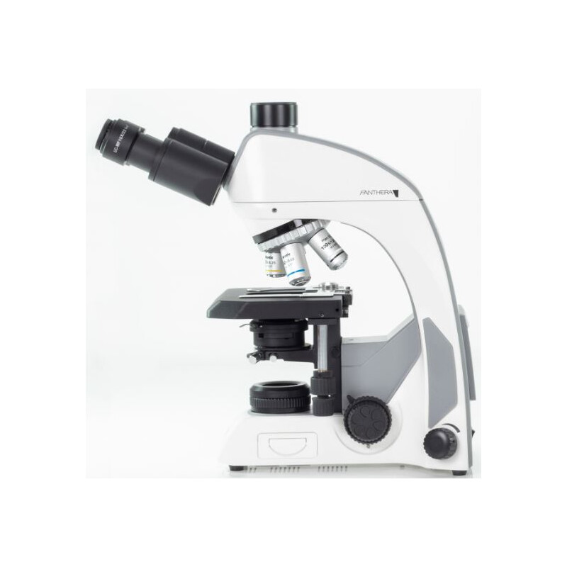Motic Microscope Panthera C, trino, infinity, plan, achromatic, 40x-1000x, Halogen