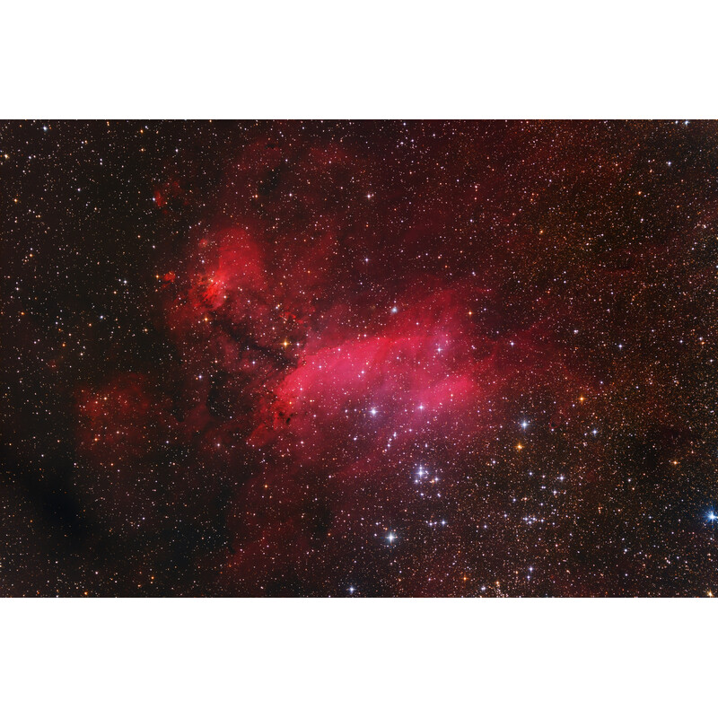 Omegon camera veTEC 410 C Color