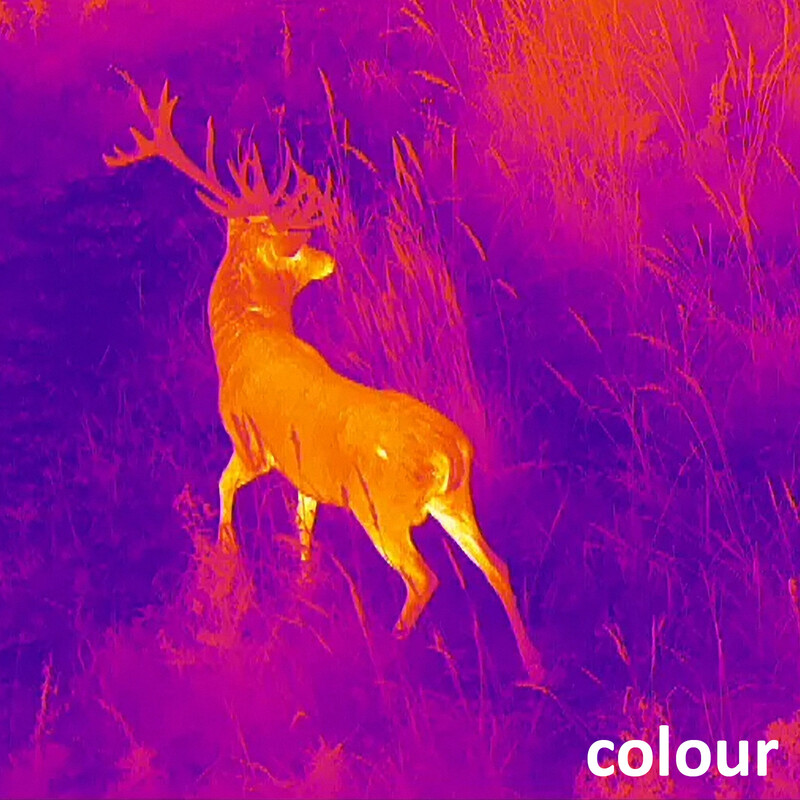 Lahoux Thermal imaging camera Spotter 325