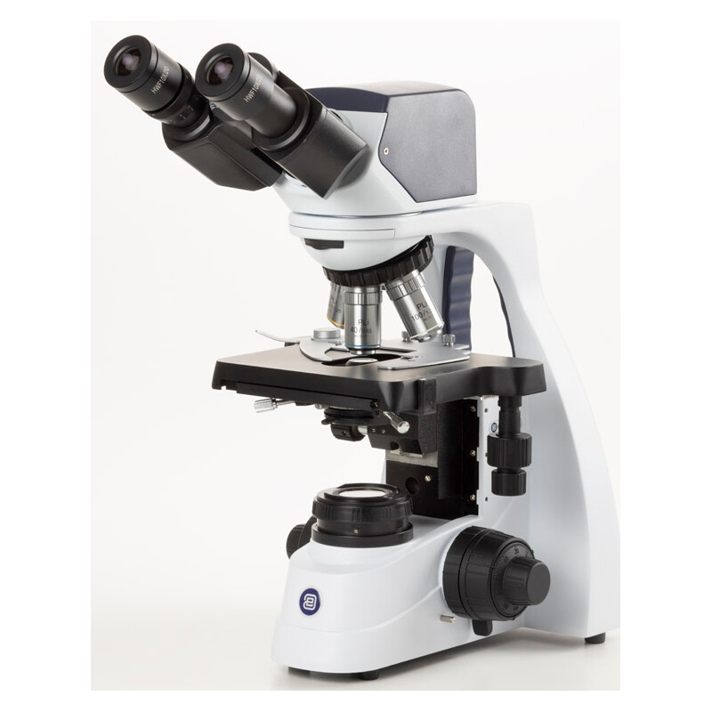 Euromex Microscopio BS.1157-PLPHi, bino, digitale, 5 MP CMOS, a colori, Plan Phase PLPHi IOS 40x - 1000x