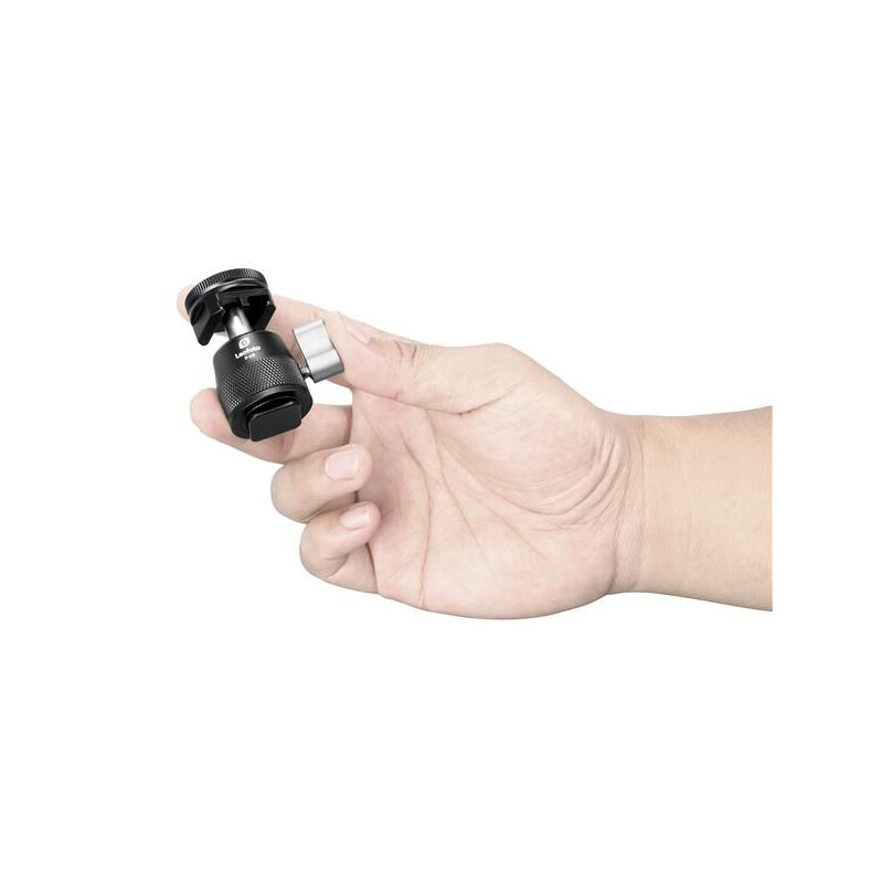 Leofoto Tripod ball-head F-19 mit Blitzschuh