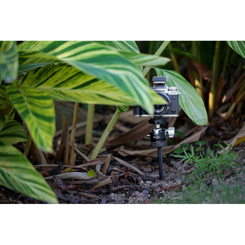 Leofoto Tripod A200 Erdspieß + P50 Auflageteller