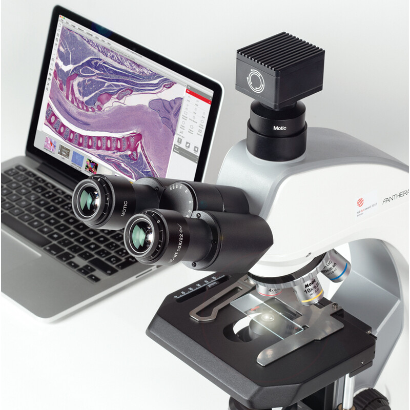 Motic Microscope Panthera C2 Trinocular, infinity, plan, achromatic, 40x-1000x, 10x/22mm, Halogen/LED
