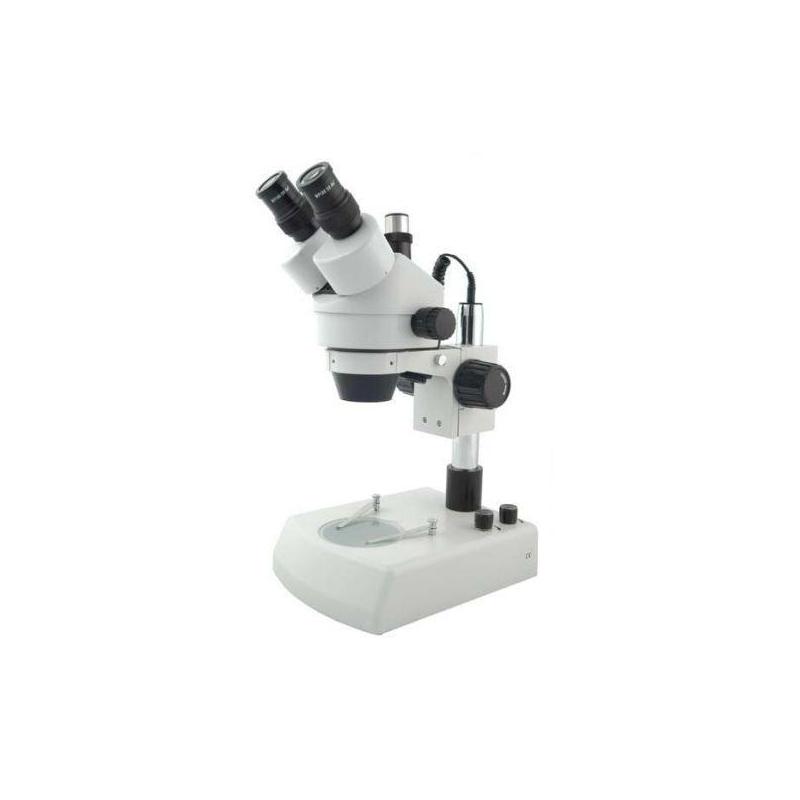 Windaus HPS 443 Zoom, trinocular