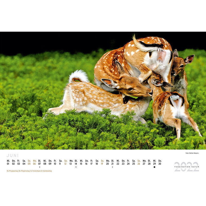 Paul Parey Calendar Faszination Natur 2022