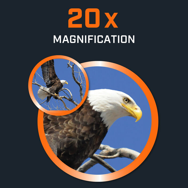 Bushnell Binocolo Powerview 2.0 20x50 alluminio, MC