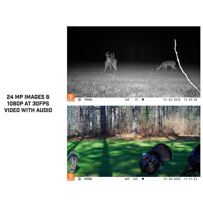 Bushnell Rilevatore di selvaggina 24MP Prime core prime brown low glow