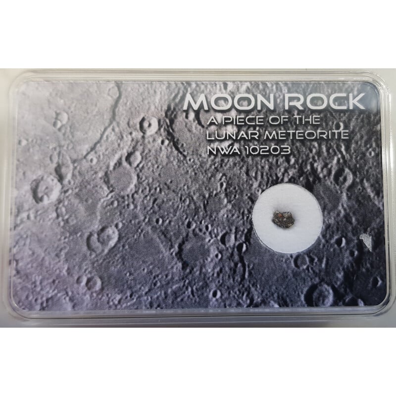 SR-Meteorites Meteorites Genuine Moon Meteorite NWA 10203 XS
