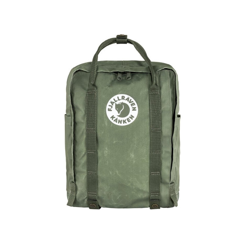 Fjällräven Backpack Tree-Kånken 627 Lichen Green