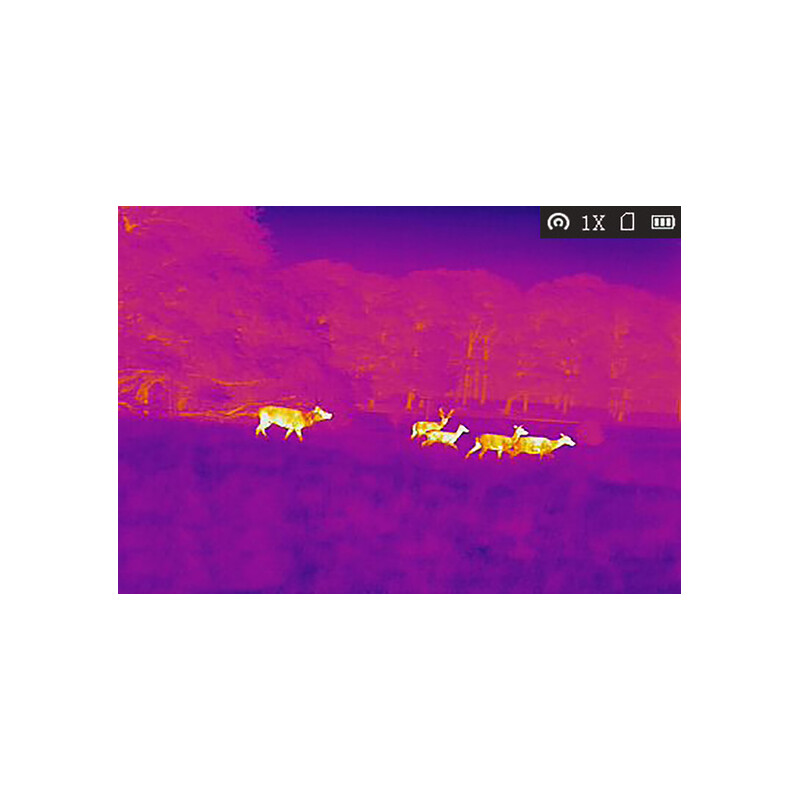 AGM Thermal imaging camera Taipan TM19-384