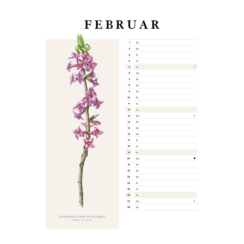 Kosmos Verlag Calendario Was blüht denn da? Kalender 2023