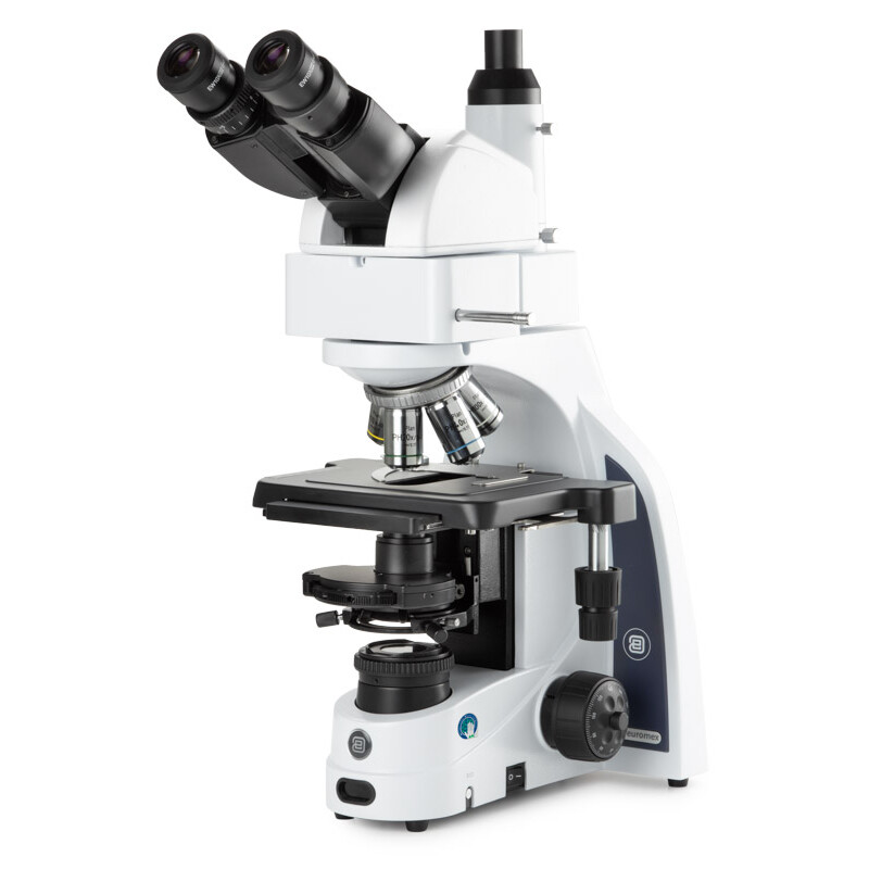 Euromex Microscopio iScope IS.1159-PLPHi, binoculare + fototubo, infinito, fase planare IOS 100x-1000x, 10x/22 DL, Köhler LED
