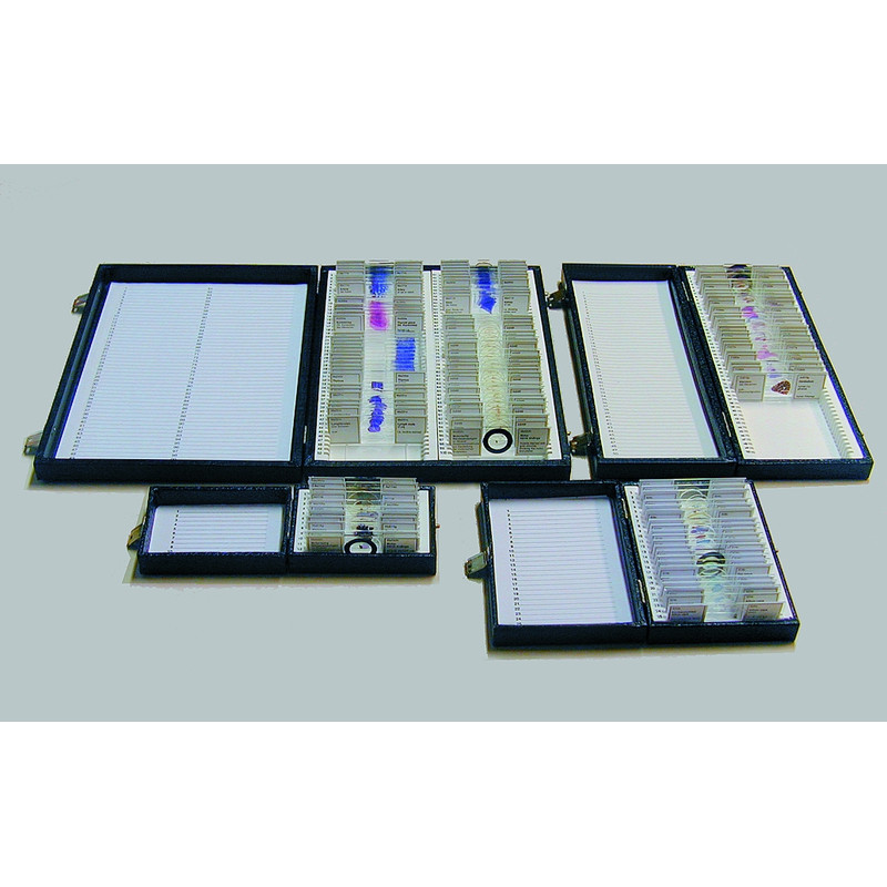 Windaus Storage box, standard model, for 50 prepared slides